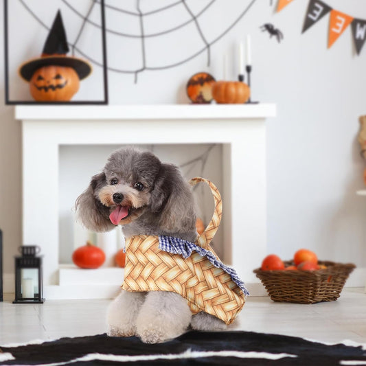 Die lustigsten Halloween-Kostüme für Ihren Hund finden