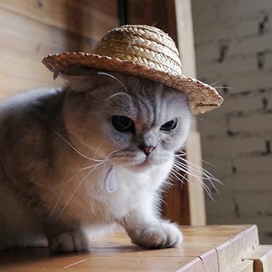 Cutest Mini Pet Straw Hat of the Summer