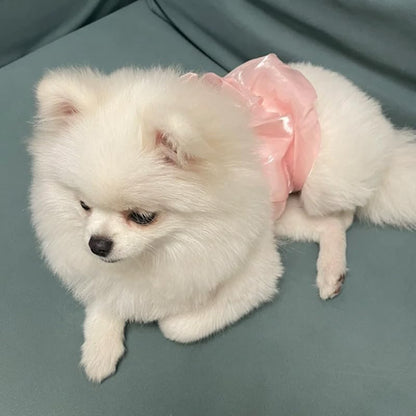 Dog Bowknot Dress – Pet Skirt for Princess Girl Puppies | Cute Dog Apparel for Small Dogs, Pet Clothes & Accessories for Special Occasions