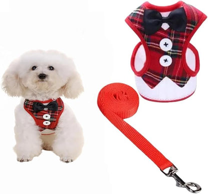 Dog Harness and Leash Set, Adjustable All-Season Step-in Vest for All Dogs, Soft Mesh Costume Harness for Birthday Halloween Christmas Wedding Party Pet Apparel, M (8-14 lb)