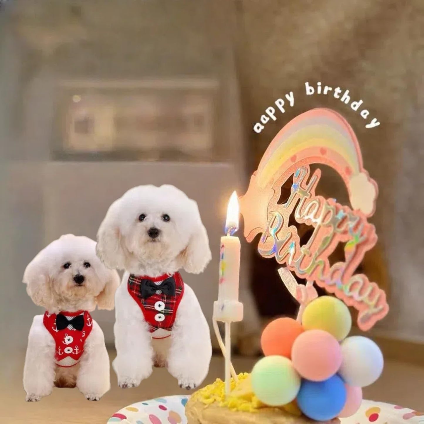 Dog Harness and Leash Set, Adjustable All-Season Step-in Vest for All Dogs, Soft Mesh Costume Harness for Birthday Halloween Christmas Wedding Party Pet Apparel, M (8-14 lb)