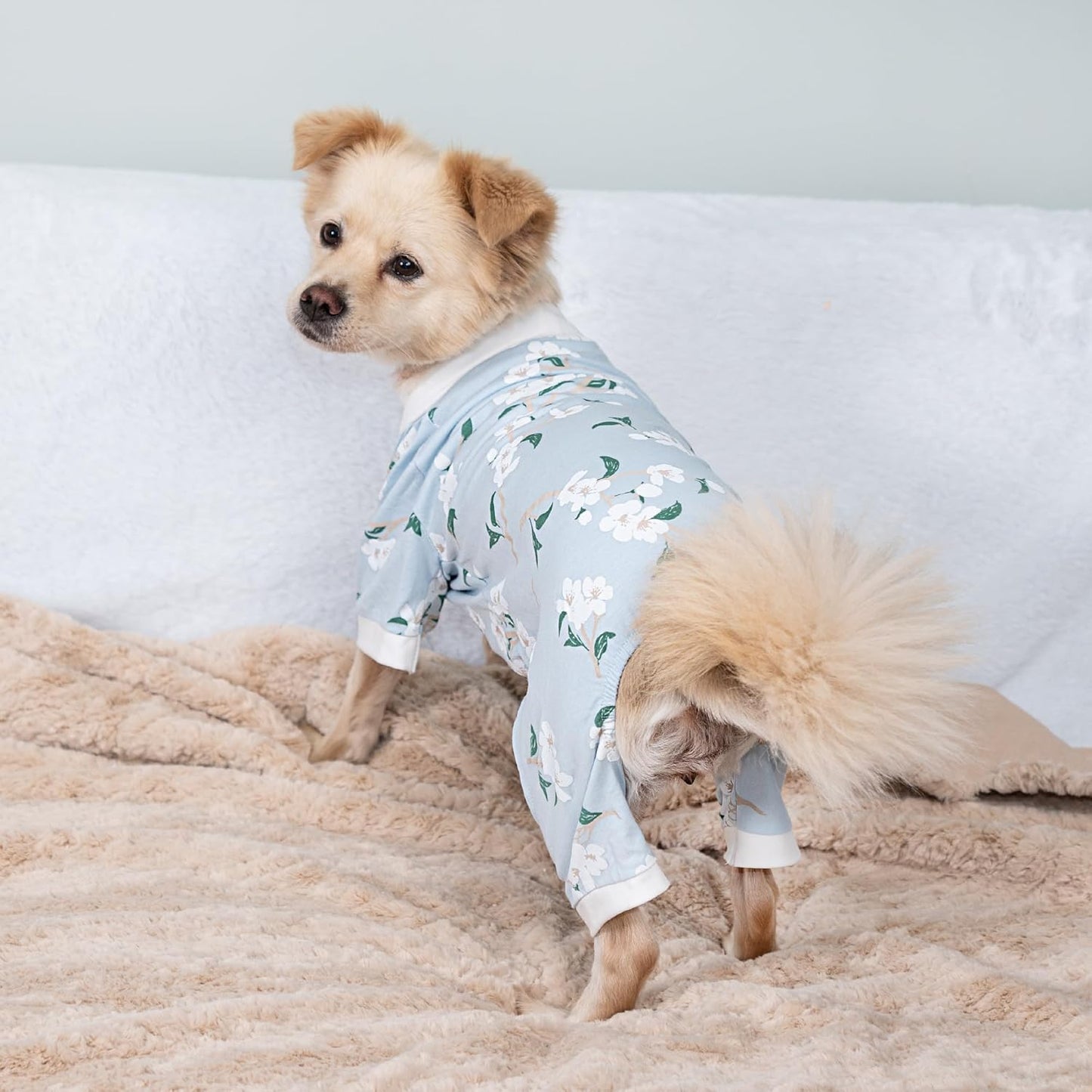 2026 New Cotton Dog Pajamas for Small & Medium Dogs - Soft Pet Onesie, Comfy Puppy Coat with Various Prints, Cute Pet Apparel for Dogs Blue Santa Medium