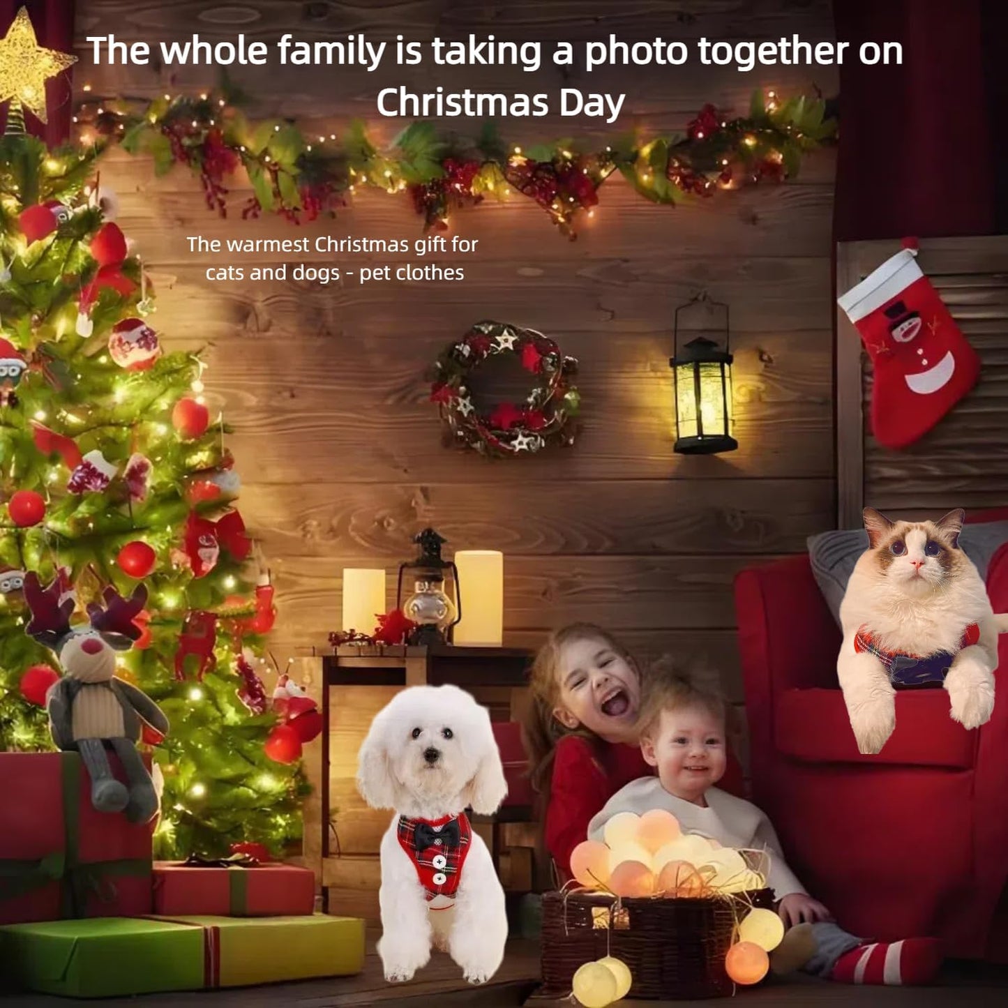 Dog Harness and Leash Set, Adjustable All-Season Step-in Vest for All Dogs, Soft Mesh Costume Harness for Birthday Halloween Christmas Wedding Party Pet Apparel, M (8-14 lb)