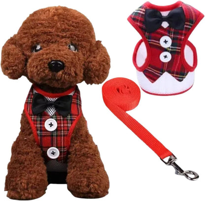 Dog Harness and Leash Set, Adjustable All-Season Step-in Vest for All Dogs, Soft Mesh Costume Harness for Birthday Halloween Christmas Wedding Party Pet Apparel, M (8-14 lb)