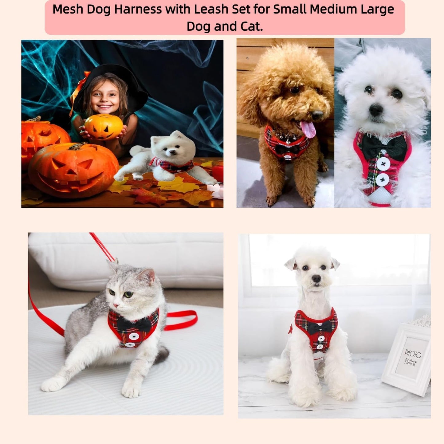 Dog Harness and Leash Set, Adjustable All-Season Step-in Vest for All Dogs, Soft Mesh Costume Harness for Birthday Halloween Christmas Wedding Party Pet Apparel, M (8-14 lb)