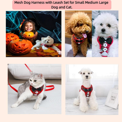 Dog Harness and Leash Set, Adjustable All-Season Step-in Vest for All Dogs, Soft Mesh Costume Harness for Birthday Halloween Christmas Wedding Party Pet Apparel, M (8-14 lb)