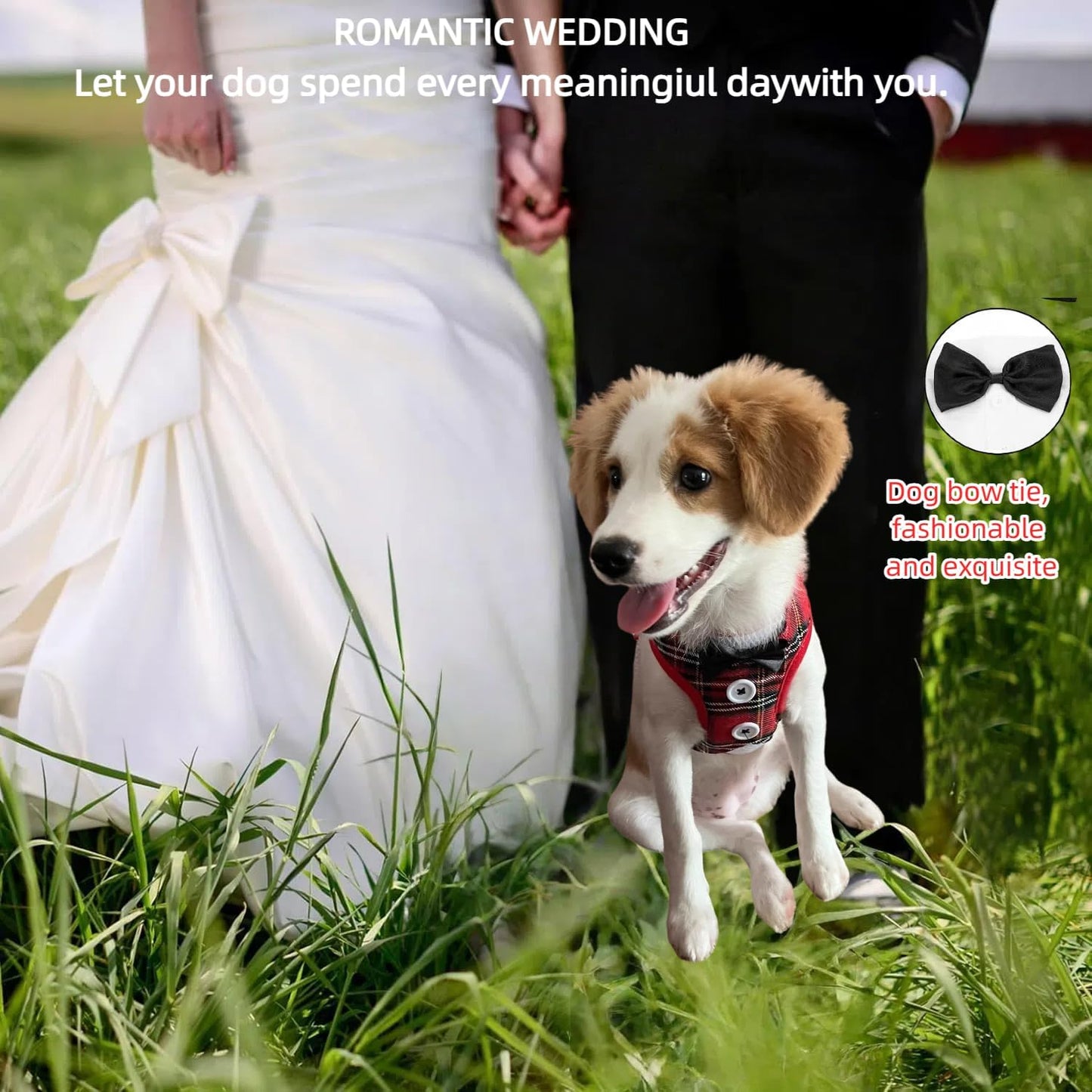 Dog Harness and Leash Set, Adjustable All-Season Step-in Vest for All Dogs, Soft Mesh Costume Harness for Birthday Halloween Christmas Wedding Party Pet Apparel, M (8-14 lb)