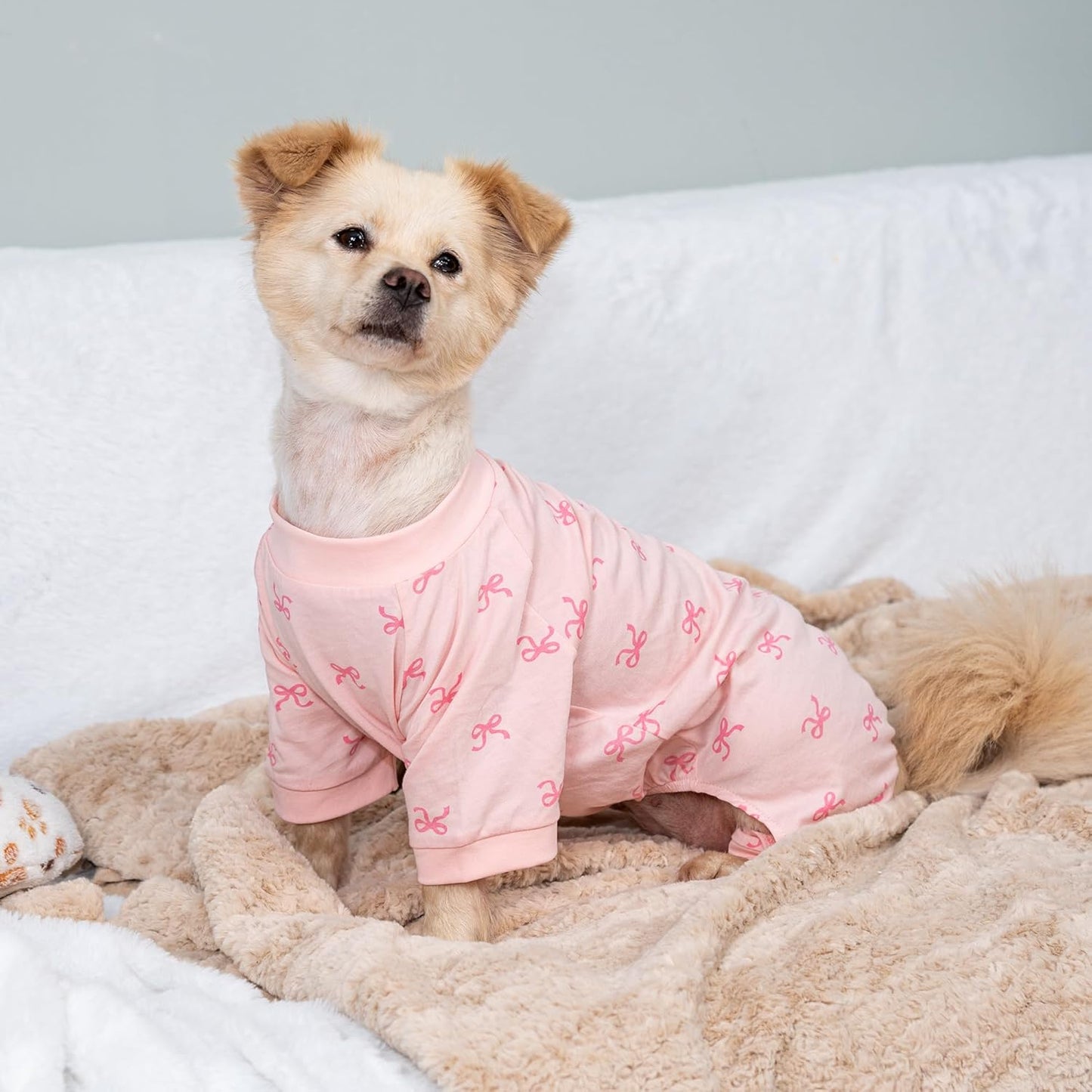 2026 New Cotton Dog Pajamas for Small & Medium Dogs - Soft Pet Onesie, Comfy Puppy Coat with Various Prints, Cute Pet Apparel for Dogs Blue Santa Medium