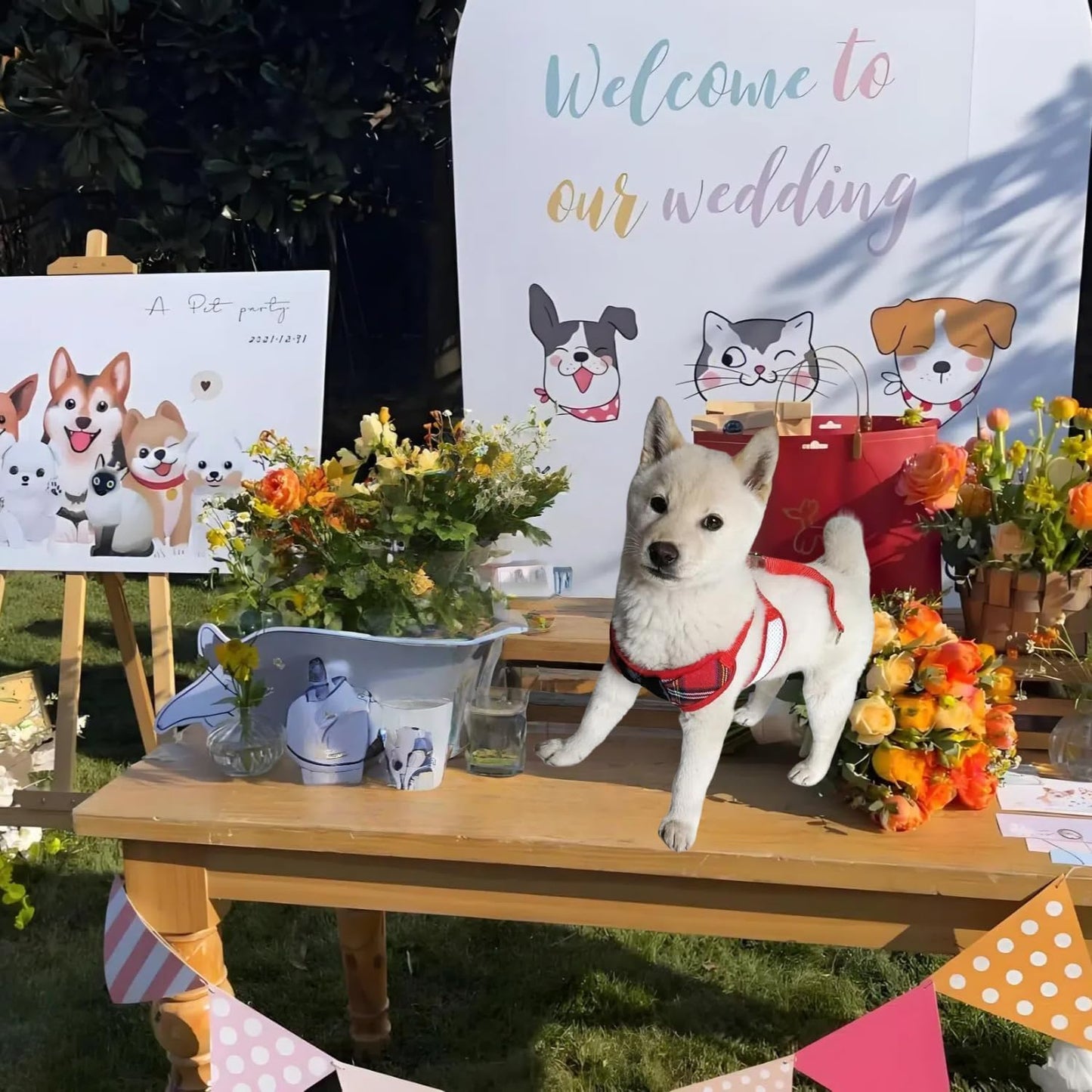 Dog Harness and Leash Set, Adjustable All-Season Step-in Vest for All Dogs, Soft Mesh Costume Harness for Birthday Halloween Christmas Wedding Party Pet Apparel, M (8-14 lb)