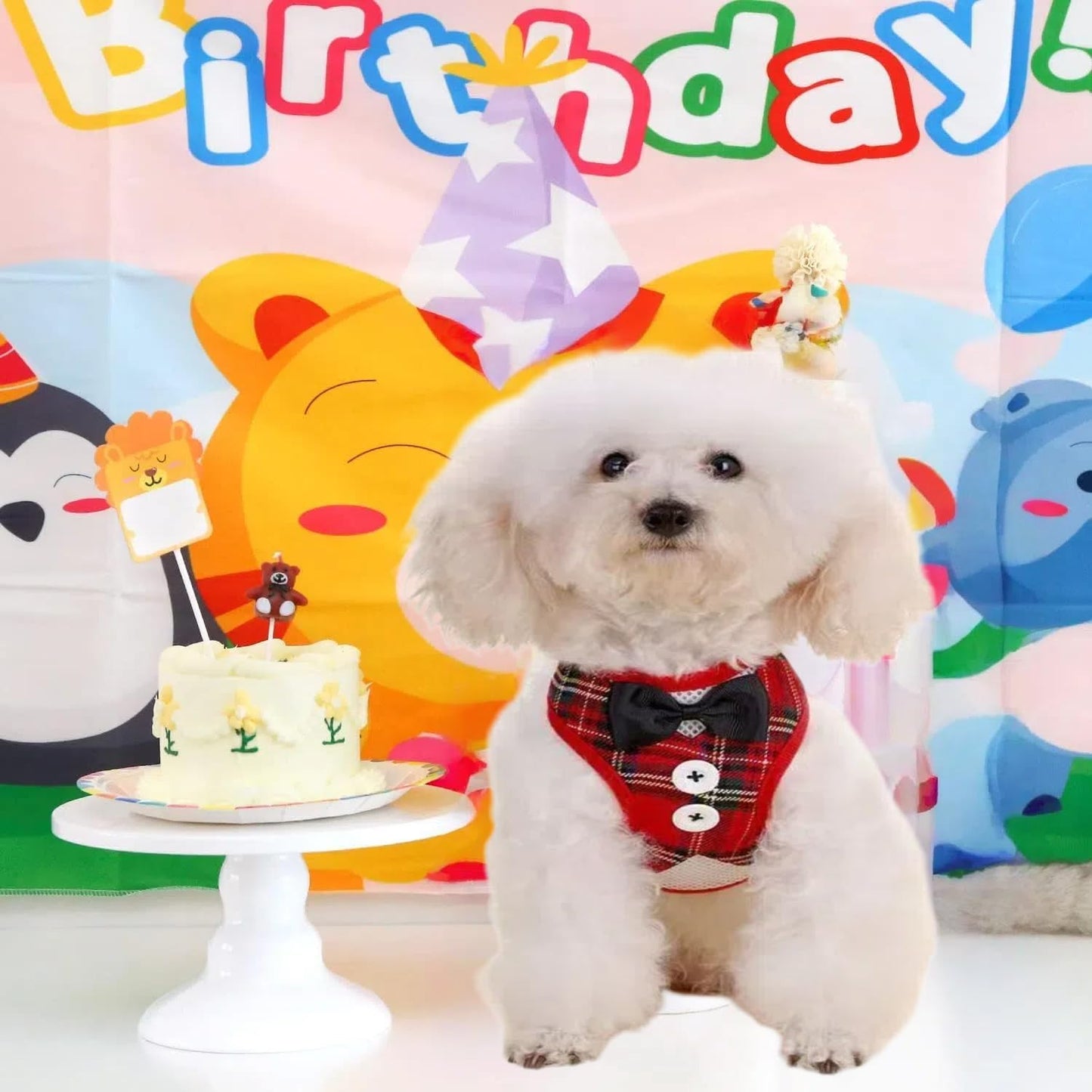 Dog Harness and Leash Set, Adjustable All-Season Step-in Vest for All Dogs, Soft Mesh Costume Harness for Birthday Halloween Christmas Wedding Party Pet Apparel, M (8-14 lb)