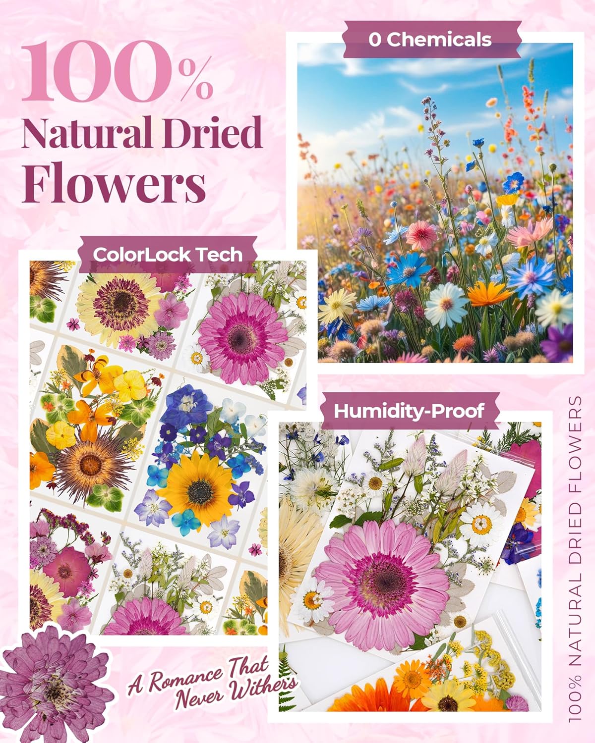 1 Pack Big Dried Pressed Flowers for Resin Molds,Real Natural Bulk Dry Floral Leaves, Dried Flowers for Crafts,Scrapbooking DIY Art,Epoxy Jewelry, Candle, Soap Making,Pressed Flower Art，White Pink