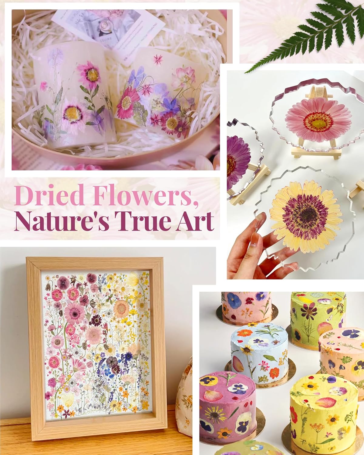 1 Pack Big Dried Pressed Flowers for Resin Molds,Real Natural Bulk Dry Floral Leaves, Dried Flowers for Crafts,Scrapbooking DIY Art,Epoxy Jewelry, Candle, Soap Making,Pressed Flower Art，White Pink