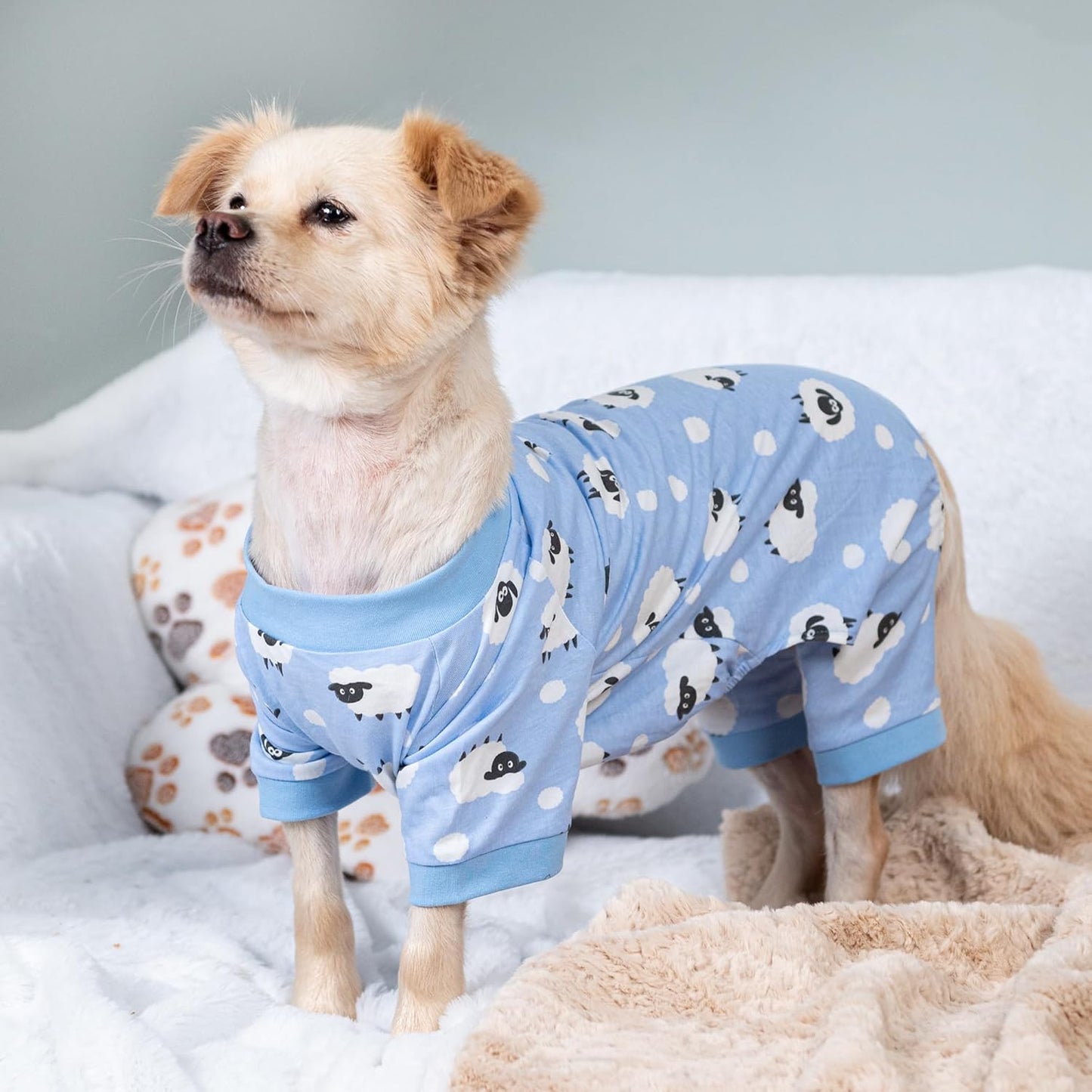 2026 New Cotton Dog Pajamas for Small & Medium Dogs - Soft Pet Onesie, Comfy Puppy Coat with Various Prints, Cute Pet Apparel for Dogs Blue Santa Medium