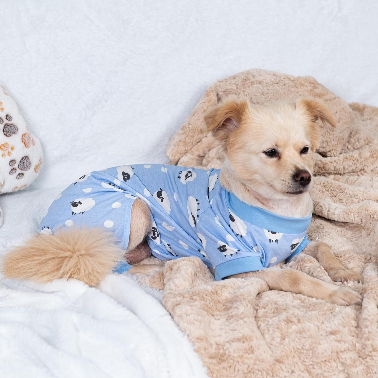 2026 New Cotton Dog Pajamas for Small & Medium Dogs - Soft Pet Onesie, Comfy Puppy Coat with Various Prints, Cute Pet Apparel for Dogs Blue Santa Medium