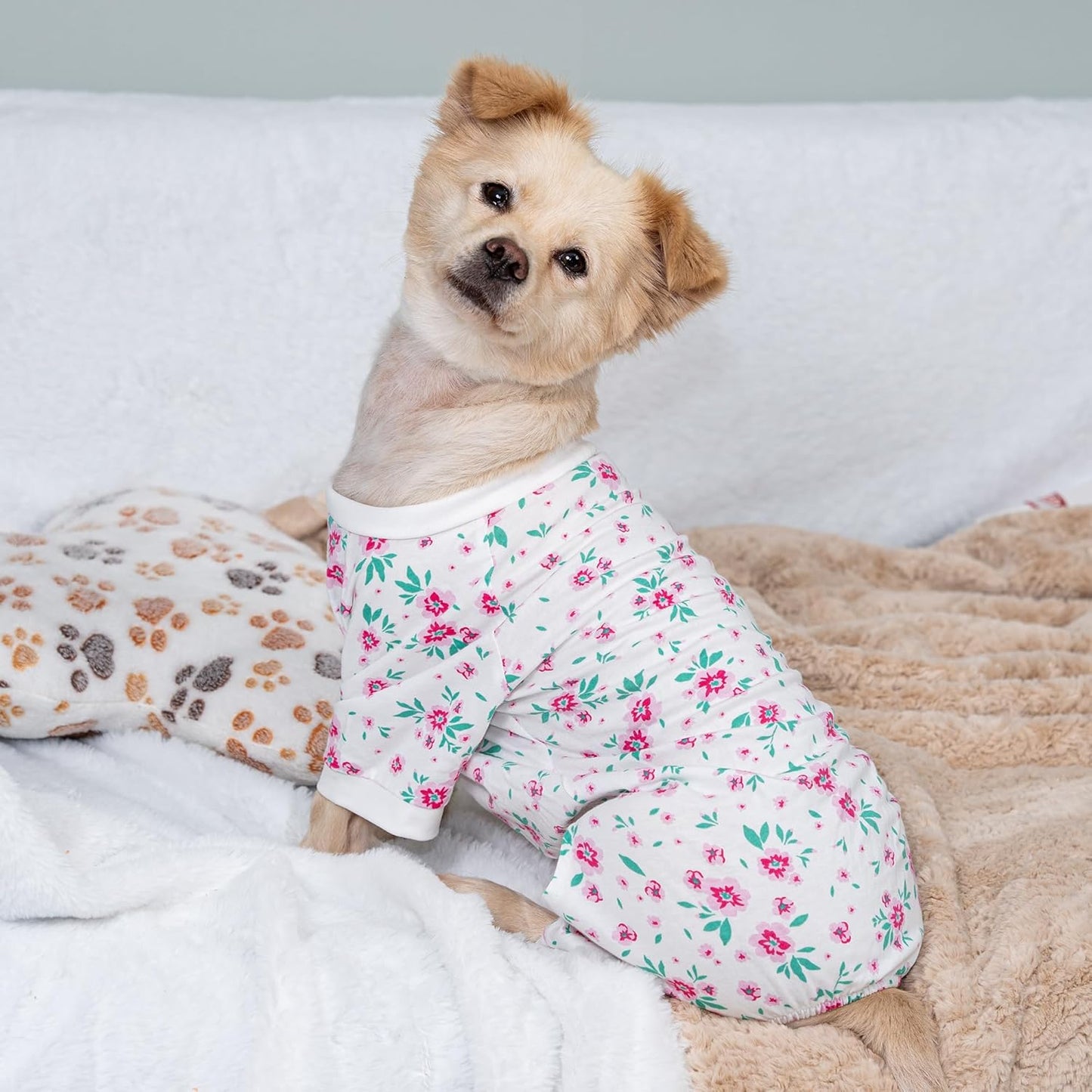 2026 New Cotton Dog Pajamas for Small & Medium Dogs - Soft Pet Onesie, Comfy Puppy Coat with Various Prints, Cute Pet Apparel for Dogs Blue Santa Medium