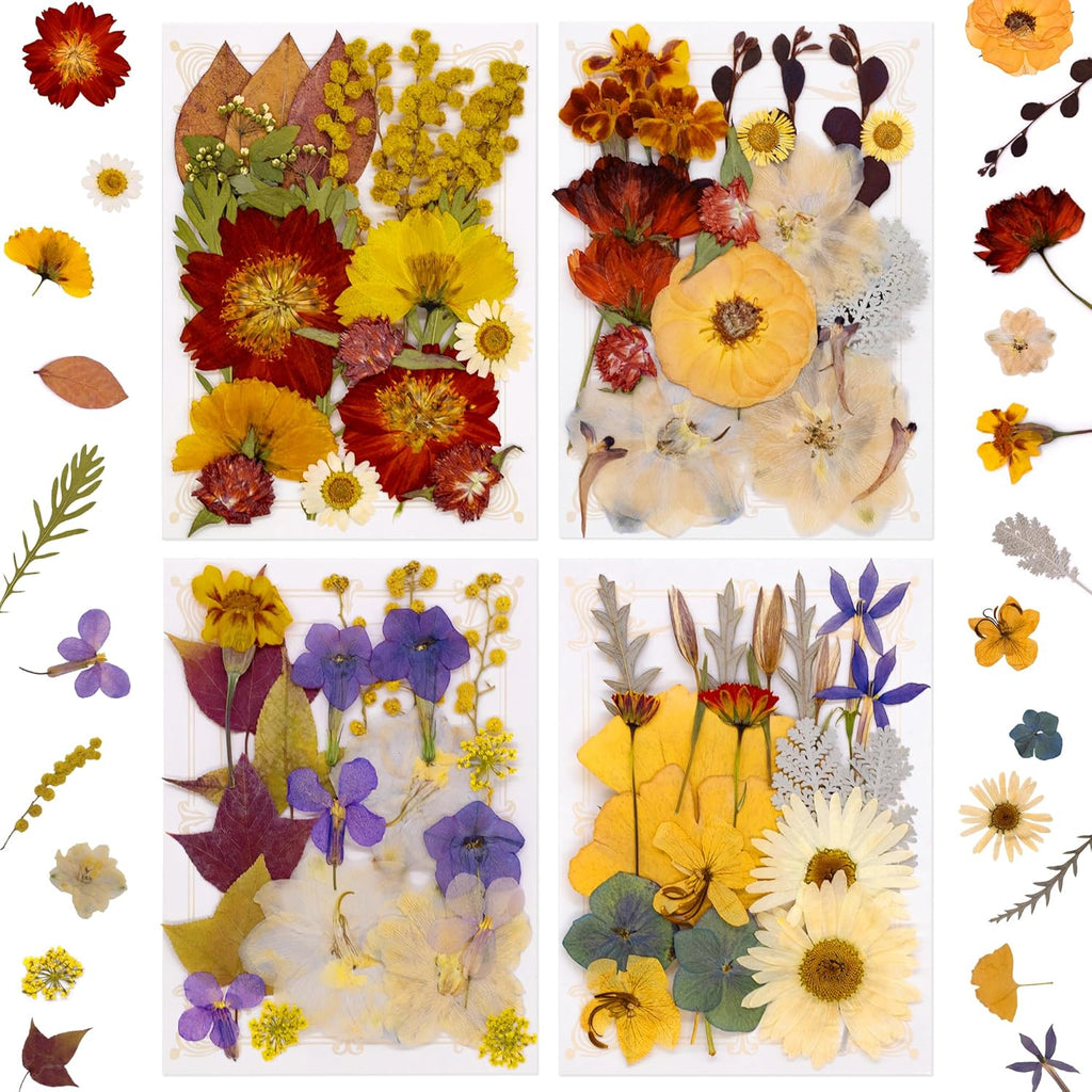 1 Pack Big Dried Pressed Flowers for Resin Molds,Real Natural Bulk Dry Floral Leaves, Dried Flowers for Crafts,Scrapbooking DIY Art,Epoxy Jewelry, Candle, Soap Making,Pressed Flower Art，White Pink