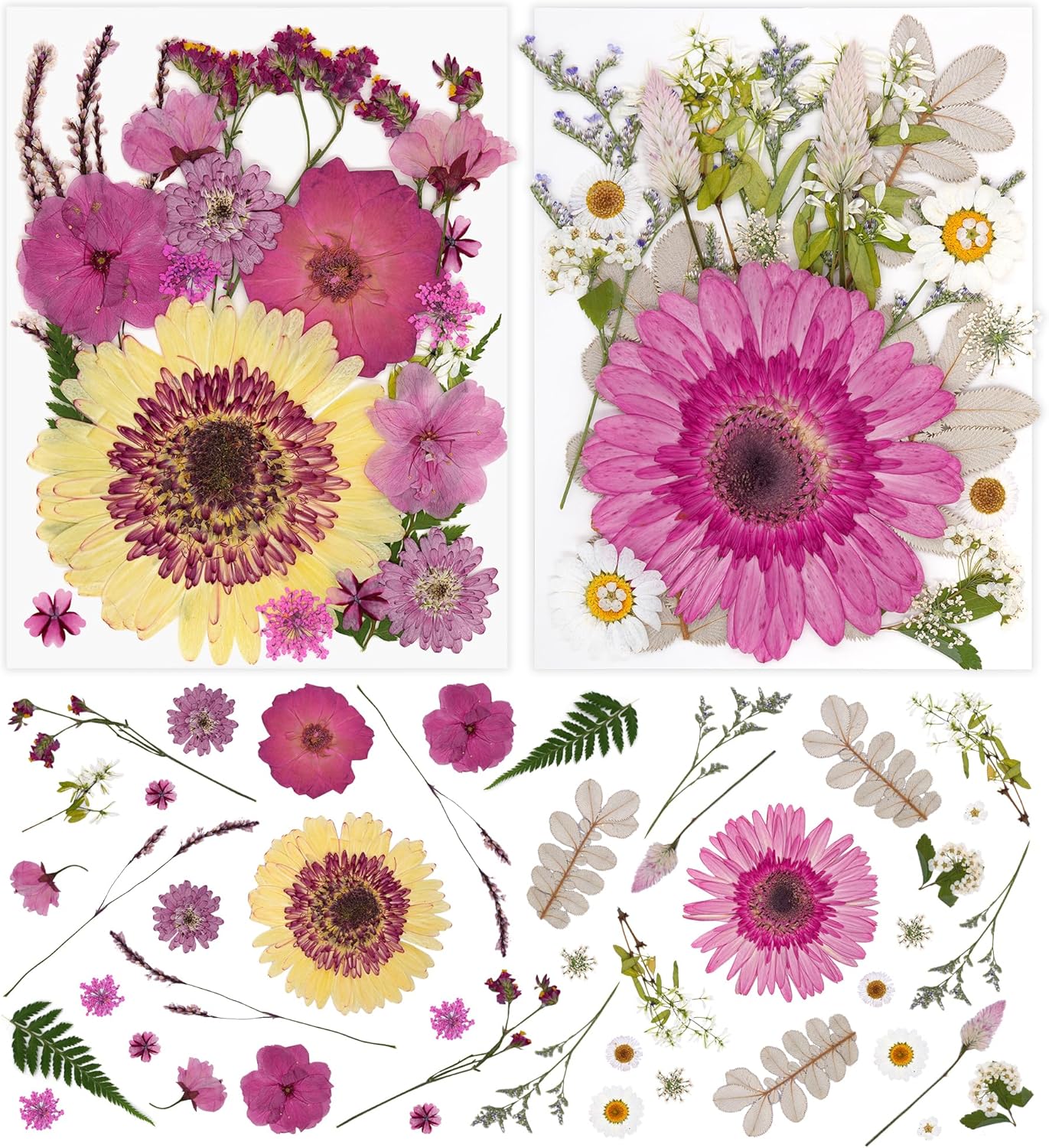 1 Pack Big Dried Pressed Flowers for Resin Molds,Real Natural Bulk Dry Floral Leaves, Dried Flowers for Crafts,Scrapbooking DIY Art,Epoxy Jewelry, Candle, Soap Making,Pressed Flower Art，White Pink
