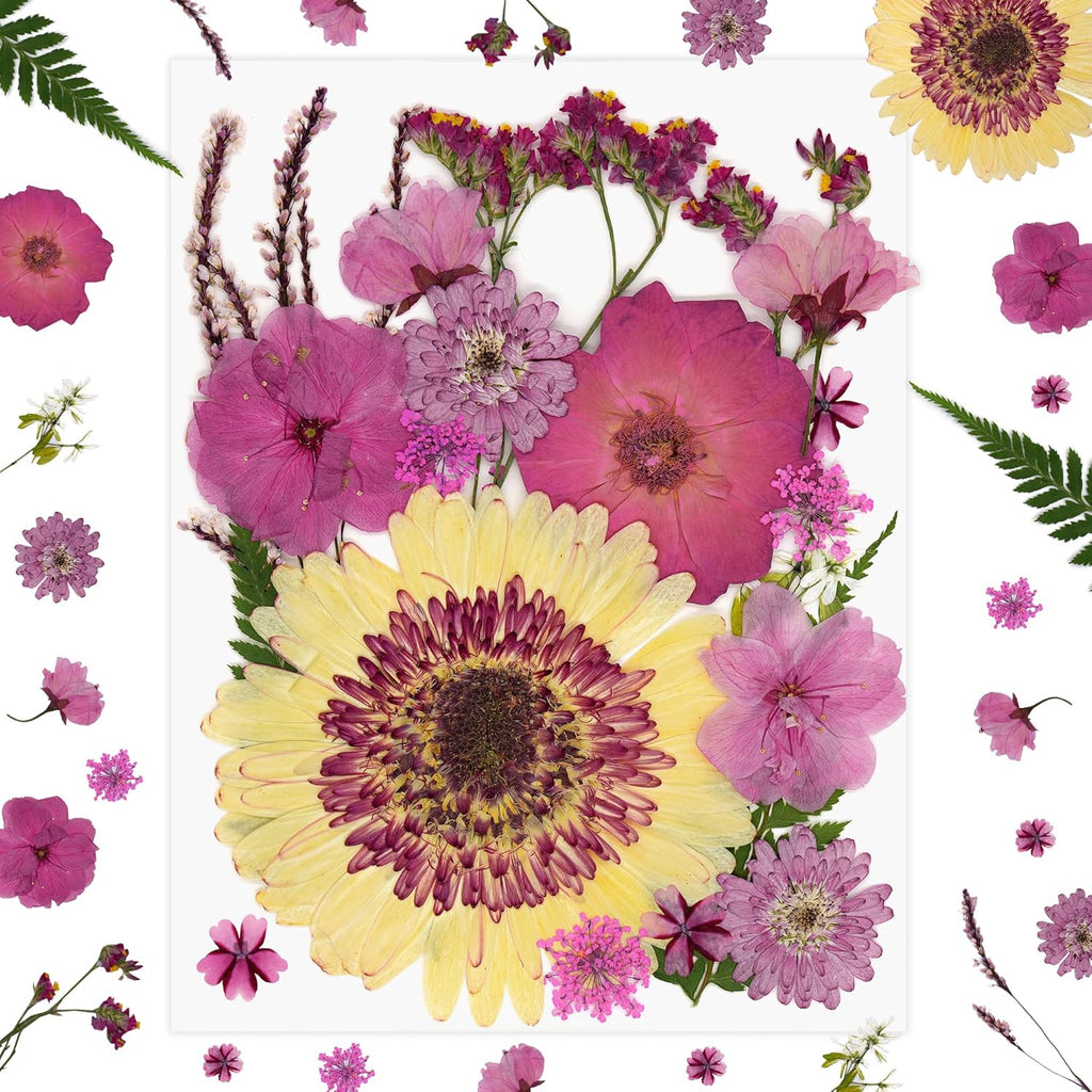 1 Pack Big Dried Pressed Flowers for Resin Molds,Real Natural Bulk Dry Floral Leaves, Dried Flowers for Crafts,Scrapbooking DIY Art,Epoxy Jewelry, Candle, Soap Making,Pressed Flower Art，White Pink