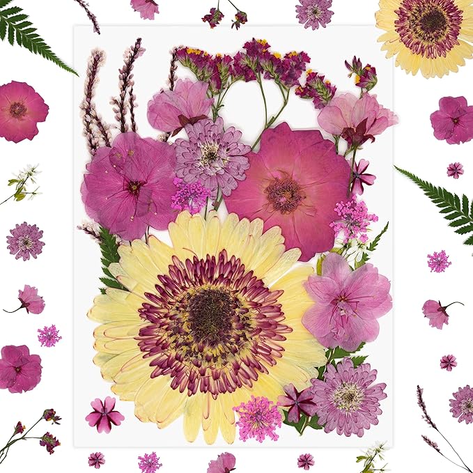 1 Pack Big Dried Pressed Flowers for Resin Molds,Real Natural Bulk Dry Floral Leaves, Dried Flowers for Crafts,Scrapbooking DIY Art,Epoxy Jewelry, Candle, Soap Making,Pressed Flower Art，White Pink